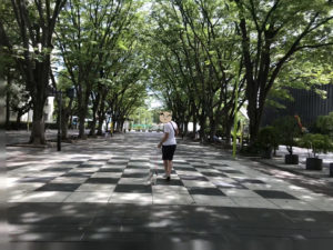 馬事公苑ケヤキ広場を散歩するテバちゃん