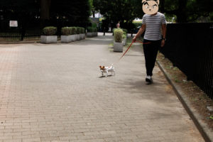 代々木公園渋谷門から入るJRT子犬テバちゃん