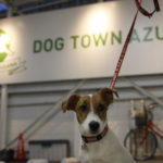 DOG TOWN AZUSAWA/ドッグタウン小豆沢（東京都板橋区）～子犬とおでかけ～