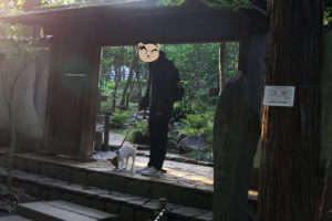 日本庭園・書院入口の子犬テバちゃん